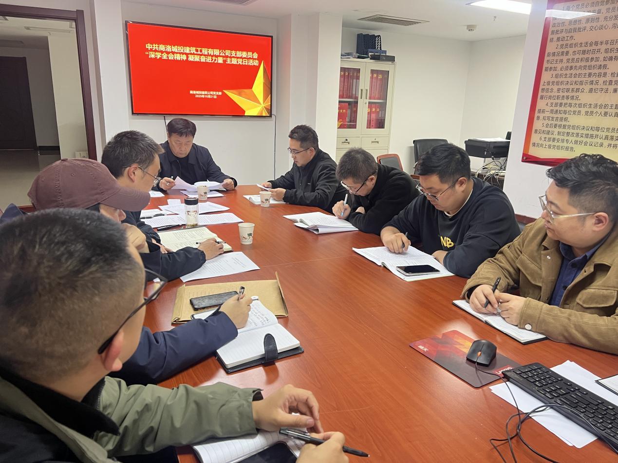商洛城投建筑工程有限公司党支部：深学全会精神聚合力 党建引领筑梦新征程